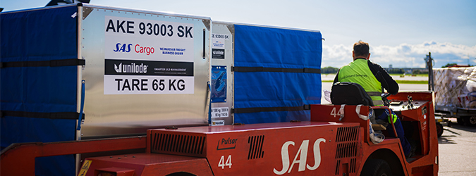 SAS Cargo, Handling, Summer